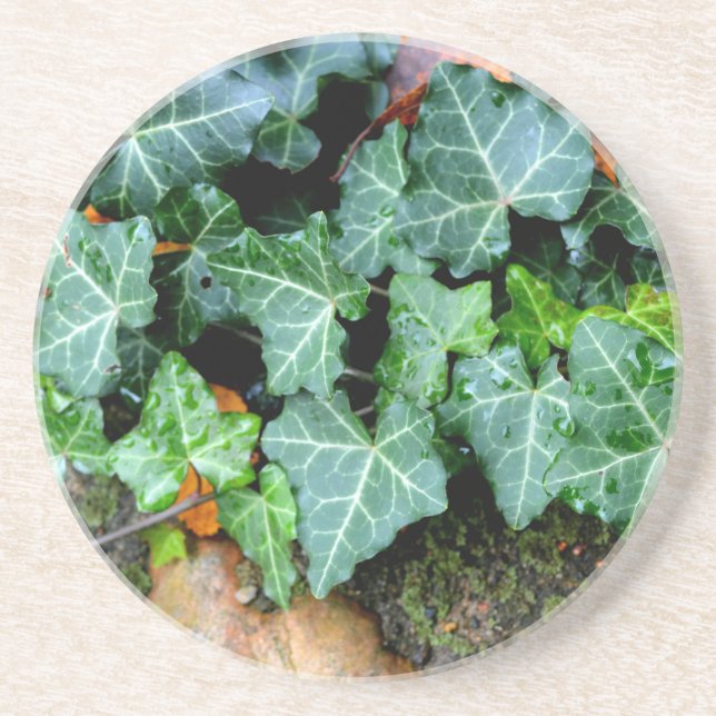 Posavasos Marfil botánico verde y piedra de campo (Frente)
