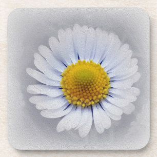 Posavasos margarita blanca brillante