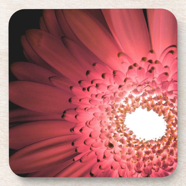 Posavasos Margarita Gerbera (Frente)