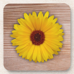 Posavasos Marigold de girasol en tablas de madera rusas