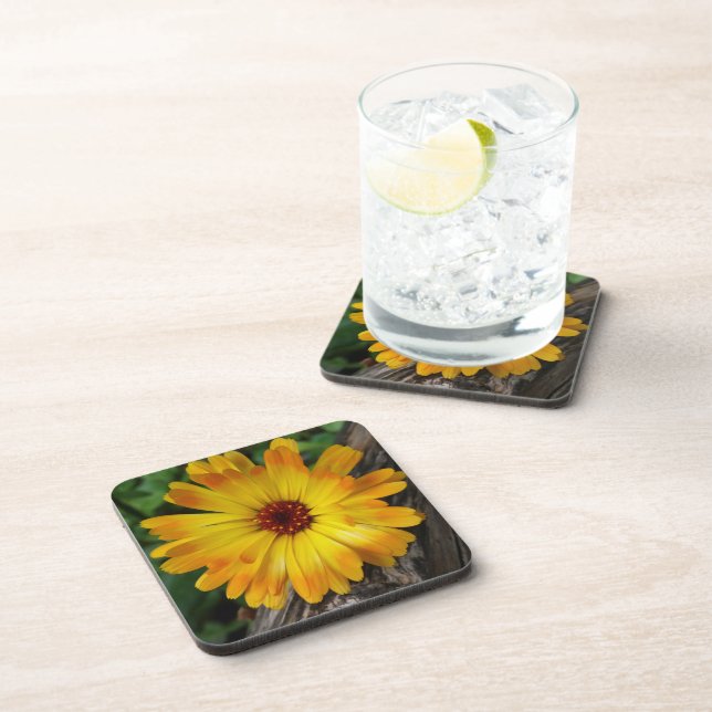 Posavasos marigold en el registro (Lado Derecho)