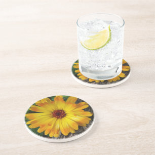 Posavasos marigold en el registro