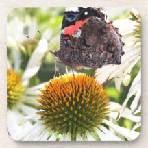 Mariposa almirante en la flor