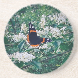 Posavasos Mariposa Almirante Rojo