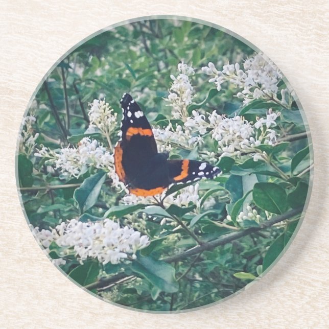 Posavasos Mariposa Almirante Rojo (Frente)