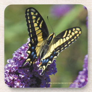 Posavasos Mariposa amarilla I - sistema de 6 prácticos de