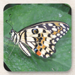 Posavasos Mariposa amarilla negra y blanca en hojas
