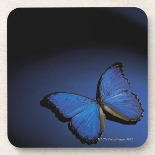Posavasos Mariposa azul
