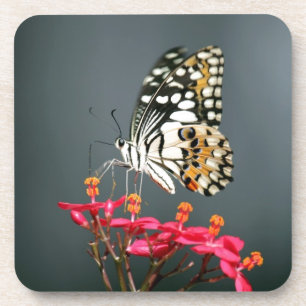 Posavasos Mariposa blanca negra y amarilla en flores rosas