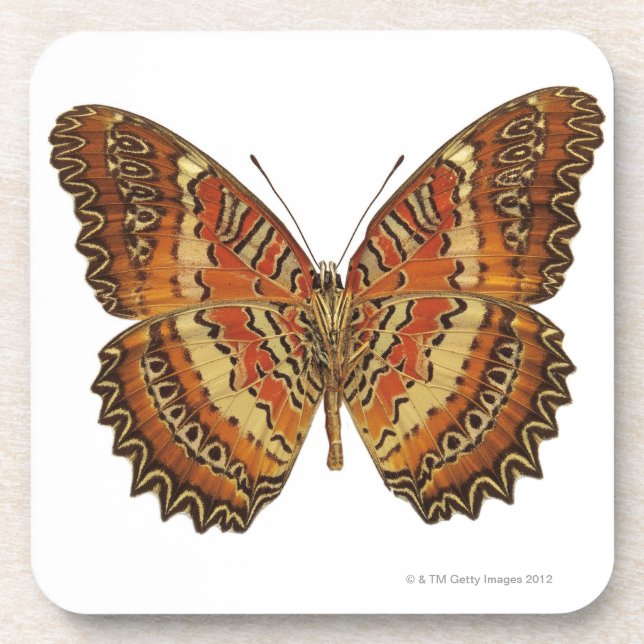Posavasos Mariposa con la extensión de las alas (Frente)