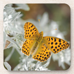 Posavasos Mariposa con manchas negras y naranja