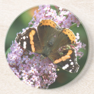 Posavasos Mariposa de Almirante Rojo y Astras de Buda