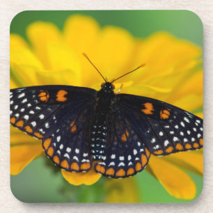 Posavasos Mariposa de Baltimore de mancha cuadriculada