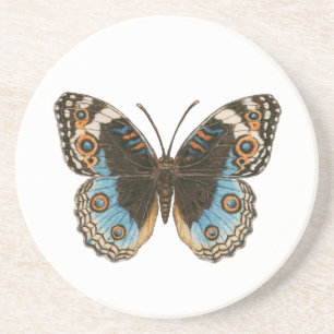 Posavasos Mariposa de Blue Pansy