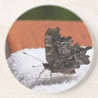 Posavasos Mariposa de camuflaje oscuro