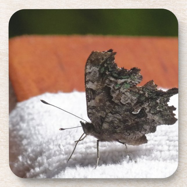 Posavasos Mariposa de Camuflaje Oscuro (Frente)