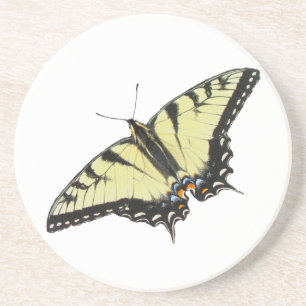 Posavasos Mariposa de cola cruda