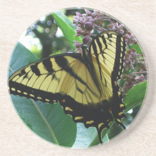 Posavasos Mariposa de cola torta I en Milkweed en Shenandoah