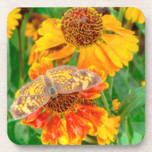 Posavasos Mariposa de la luna de la Perla en Sneezeweed