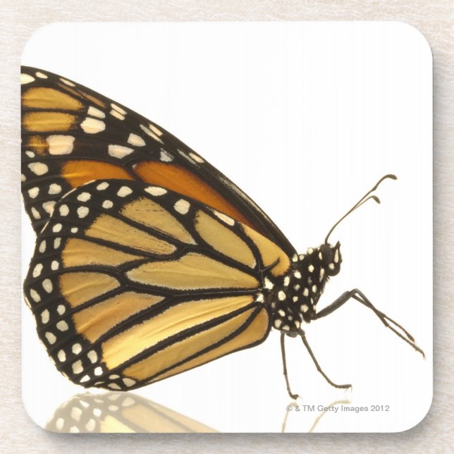 Posavasos Mariposa de monarca (Frente)