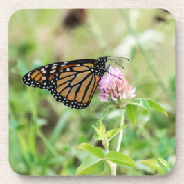 Posavasos Mariposa de monarca