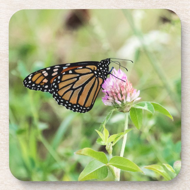 Posavasos Mariposa de monarca (Frente)