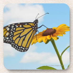 Posavasos Mariposa de monarca en una Susan observada negro