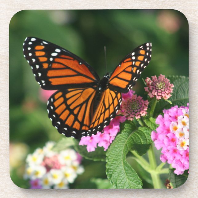 Posavasos Mariposa de monarca hermosa en Flowers.Coasters (Frente)