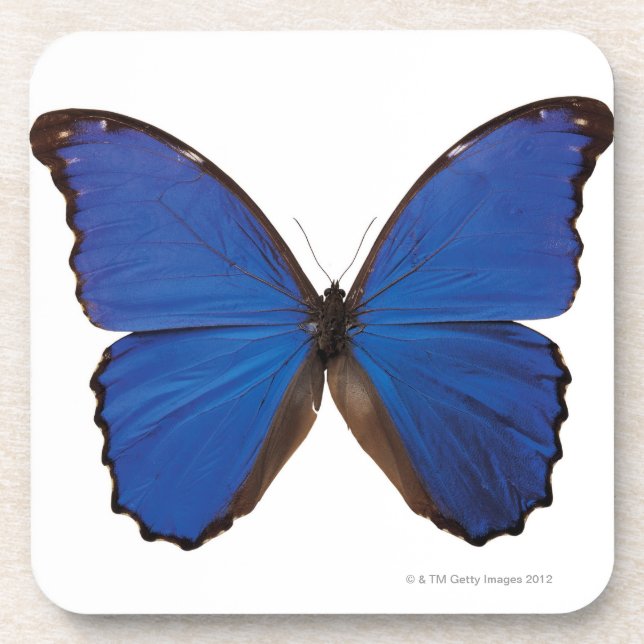 Posavasos Mariposa de Nestira Marpho (Frente)