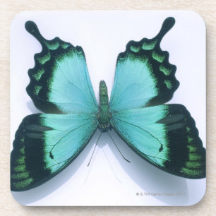 Posavasos Mariposa en blanco