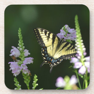Posavasos Mariposa En El Jardín