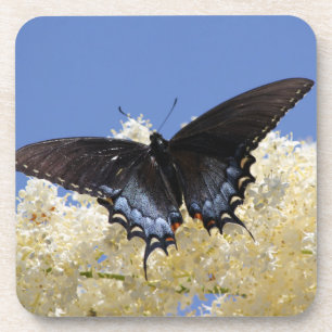 Posavasos Mariposa En Flores Blancas