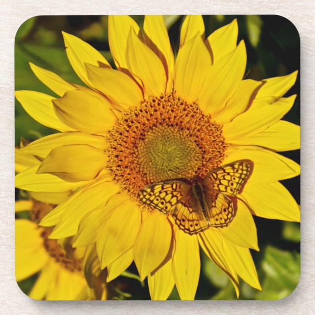 Posavasos Mariposa en girasol (Frente)