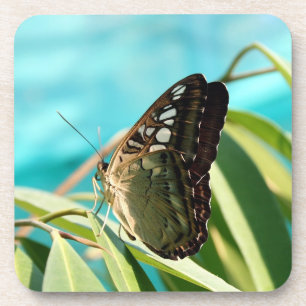 Posavasos Mariposa marrón alas cerradas