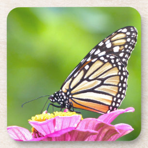 Posavasos Mariposa monarca