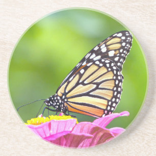 Posavasos Mariposa monarca