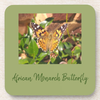 Posavasos Mariposa monarca africana