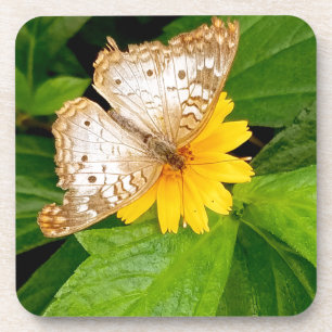 Posavasos mariposa nocturna blanca amarilla