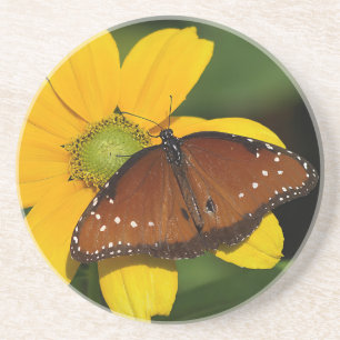 Posavasos Mariposa reina en flor amarilla