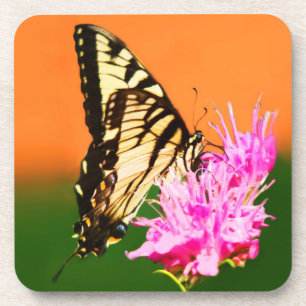 Posavasos Mariposa Swallowtail del Tigre del Este