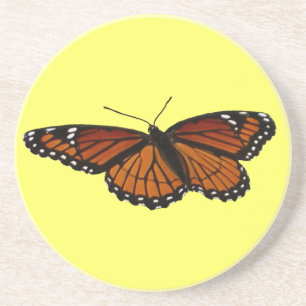 Posavasos Mariposa Virrey Fotografía Hermosa de la Naturalez