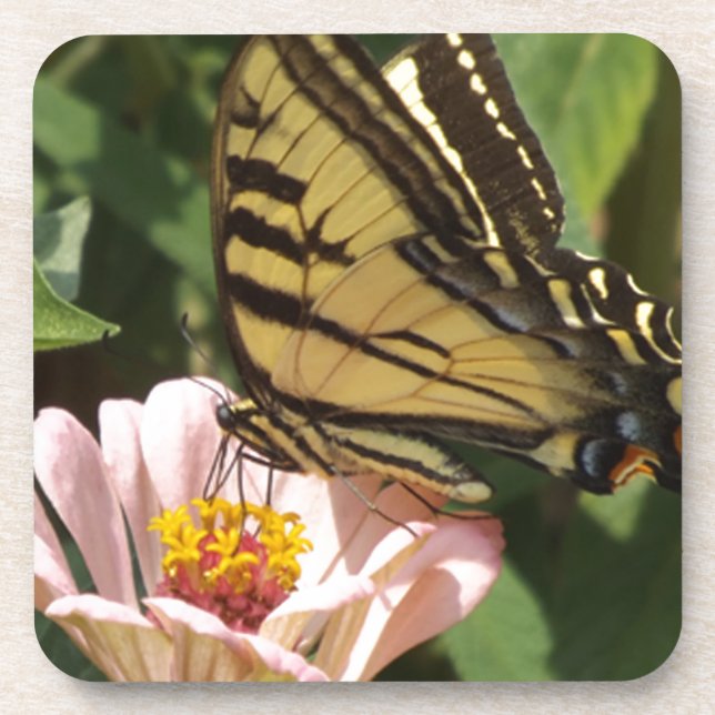 Posavasos Mariposa y flor (Frente)