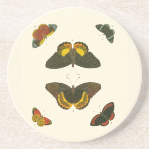 Posavasos Mariposas brillantes por Pieter Cramer