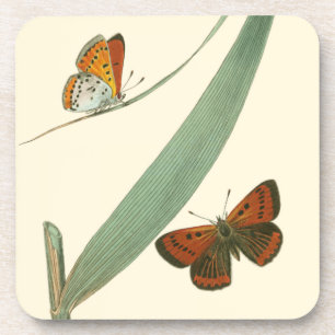 Posavasos Mariposas coloridas revolotean alrededor de una ho