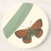 Mariposas de colores fluyen alrededor de una hoja