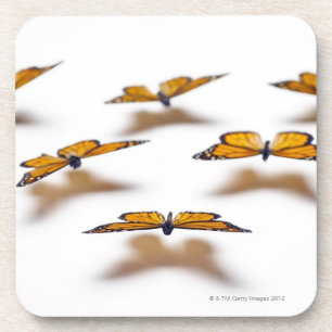 Posavasos Mariposas de monarca