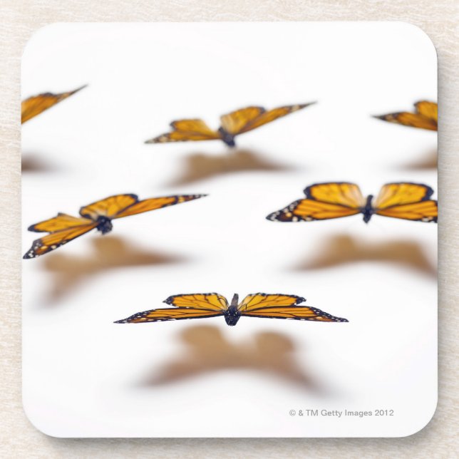 Posavasos Mariposas de monarca (Frente)