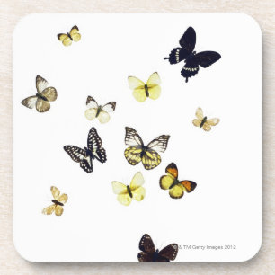 Posavasos Mariposas tiradas en blanco