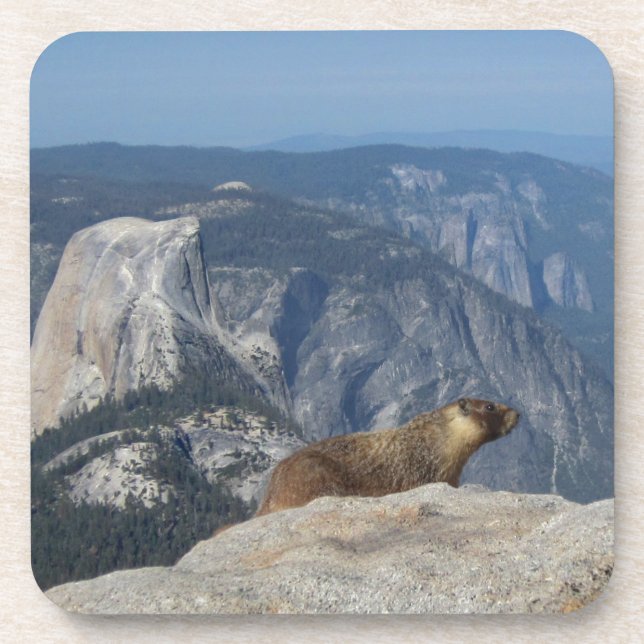 Posavasos Marmot sobrepasando media doma de las nubes - Yo (Frente)