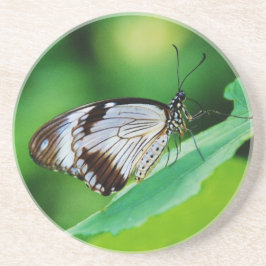 Posavasos Marrón oscuro y mariposa gris